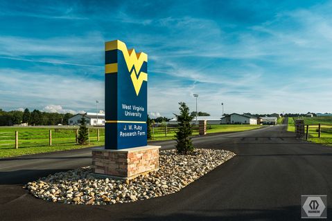 the WVU sign for the J.W. Ruby Research farm with the flying WV symbol; photo credit Manheim