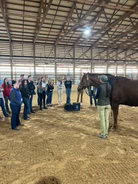 Photo of students in barn with horse