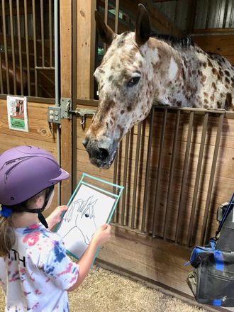 Photo of young child looking at horse and drawing of horse