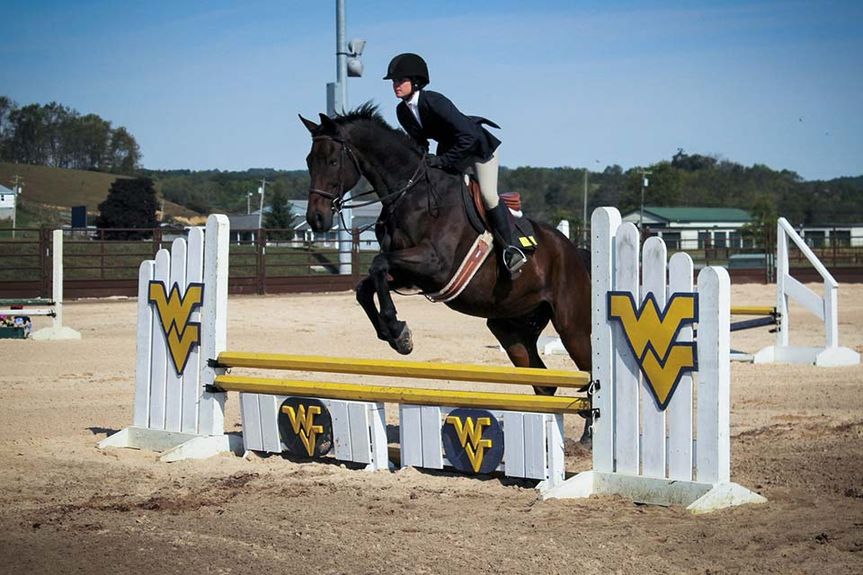student and horse going over jump in arena